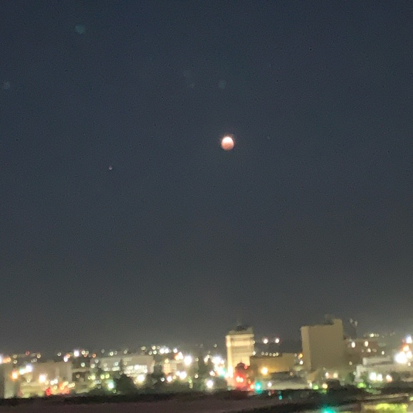 Meet your Posher, Annalyn - Picture 1 of 1